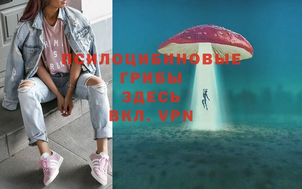 стафф Саяногорск