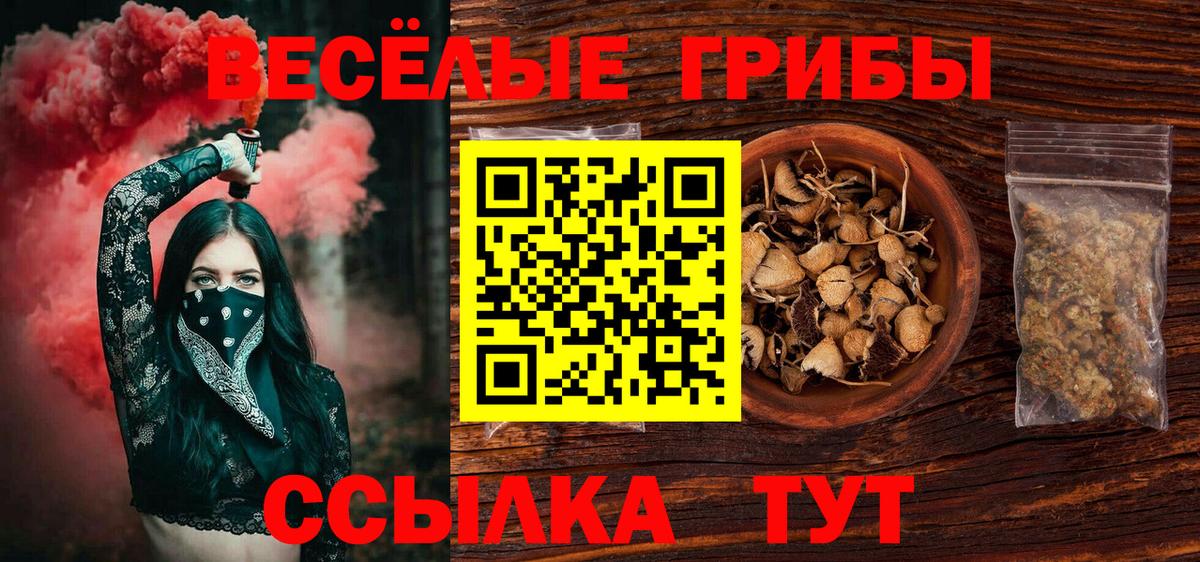 Топки  Галлюциногенные грибы прущие грибы  Вход с VPN 