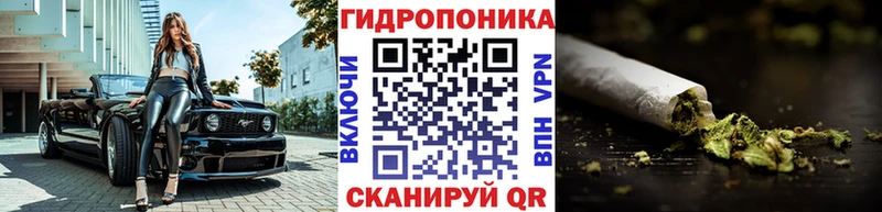 Бошки марихуана сатива  Топки 